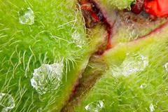 Какво ново при LEGO® TEC екипи за ски