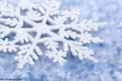 Възстановено е движението по АМ „Тракия“ в участъка Карнобат – Бургас