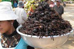 Странни деликатеси! Бихте ли хапнали по време на почивката си?