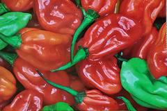 Много люти чушлета – хабанеро