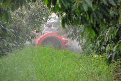 Пръскане на овощни дръвчета (овошки)