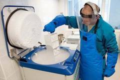 Стволови клетки са бъдещето