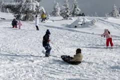 Пистите край Момчиловци предлагат отлични условия за ски и сноуборд Избрана