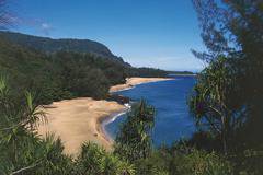 Марк Зукърбърг иска чрез съдебни дела да вземе земята на съседите си