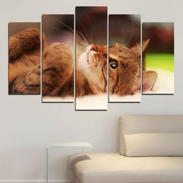 Картина пано за стена от 5 части с гальовно котенце – HD-377