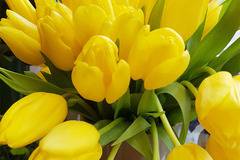 Букети – Букет 17 жълти лалета – Безплатна Доставка на Цветя Букети и Рози в Кутия София