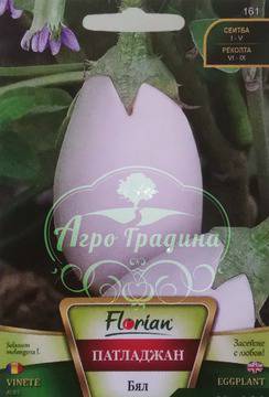 Патладжан Бял