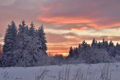 Витошки залез