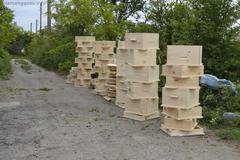 Боядисване на кошерите – 2016