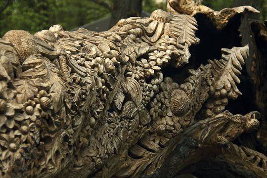 Вълшебникът и дървото