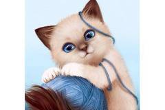 Диамантен гоблен ЗАИГРАЛО СЕ КОТЕ