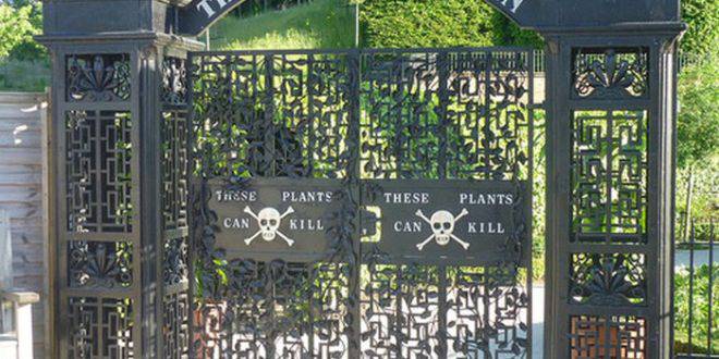 Добре дошли в Отровната градина!