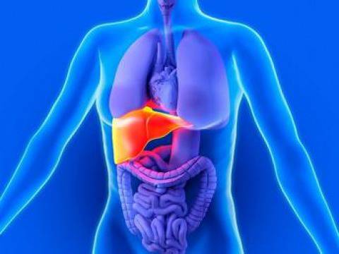 Храни за прочистване на черния дроб