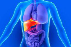 Храни за прочистване на черния дроб