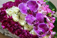 Аранжировки с цветя и саксийни растения – Цветни Аранжировки – Аранжировка с орхидеи Фаленопсис и фрезия – Доставка на Цветя…