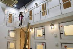 Луксозен хотел за котки, който впечатлява и хората