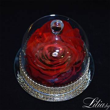 Голяма червена вечна роза в стъкленица