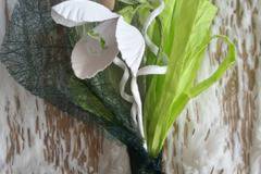 НЕЖНОСТТА И ЧИСТОТАТА НА ПЪРВИТЕ ПРОЛЕТНИ ЦВЕТЯ