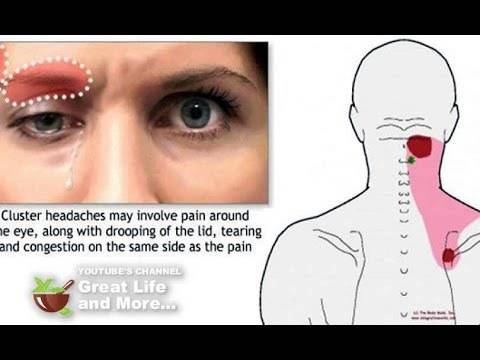 Ако усетите болка в тези области, то незабавно позвънете на лекаря си!