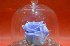 Цветя в Кутия и Вечни Рози – Синя Вечна Роза в Стъкленица – Доставка на Цветя и Букети за Свети Валентин София