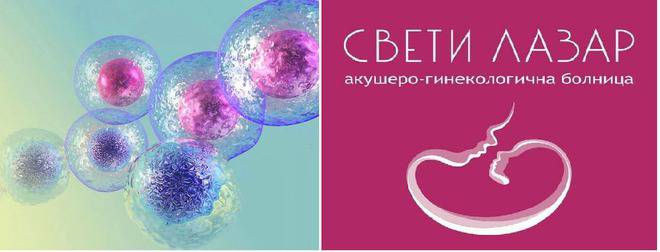 Отворени врати! Всичко за стволовите клетки.