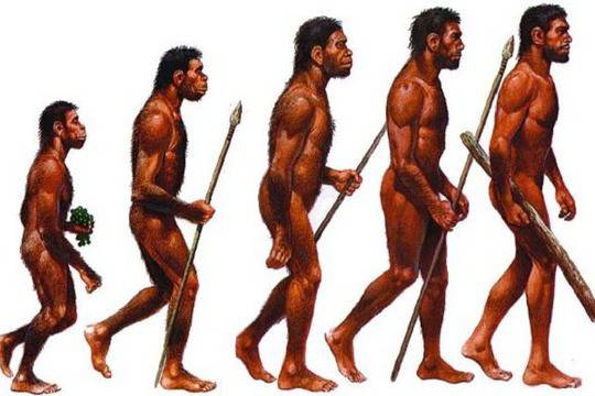 ГЕНЕТИКА И ПРОИЗХОД НА ЧОВЕКА