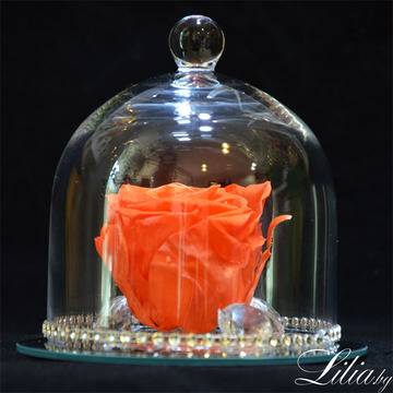 Цветя в Кутия и Вечни Рози – Оранжева вечна роза в стъкленица – Доставка на Цветя и Букети за Свети Валентин София