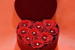 Кадифена кутия сърце с 9 червени рози