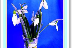 Февруарски ремонти на стъклокерамичен плот с изгорял ключ, фурна с изгоряла букса и тостер