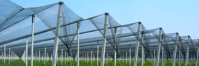 Мрежи за селското стопанство и строителството от Скай Протект ООД