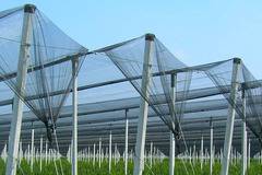 Мрежи за селското стопанство и строителството от Скай Протект ООД