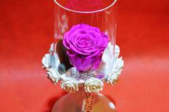 2017 Вечни рози и рози в стъкленица – Цикламена вечна роза в стъклен цилиндър – Доставка на Цветя Букети и Роза в стъкленица…