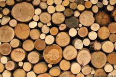 НАП проверява търговците на дърва за огрев в Бургас