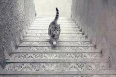 Оптически илюзии, които ще ви накарат сериозно да се замислите кое е реално