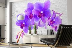 Фототапет „Violet excitation“