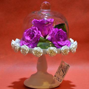 2017 Вечни рози и рози в стъкленица – Цикламени вечни рози в стъкленица – Доставка на Цветя Букети и Роза в стъкленица за 8ми…