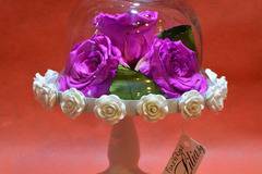 2017 Вечни рози и рози в стъкленица – Цикламени вечни рози в стъкленица – Доставка на Цветя Букети и Роза в стъкленица за 8ми…