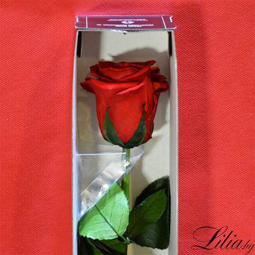 2017 Вечни рози и рози в стъкленица – Вечна неувяхваща червена роза с дръжка 68см – Доставка на Цветя-Букети-Роза в…