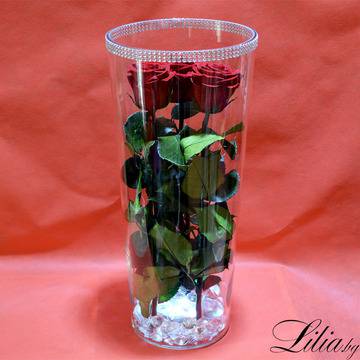 2017 Вечни рози и рози в стъкленица – 3 вечни червени рози в светещ цилиндър – Доставка на Цветя-Букети-Роза в…