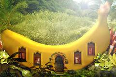 10-те най-скъпи плодове в света