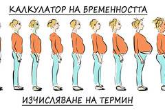 Калкулатор на бременността