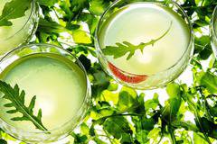 Как се отървах от разширените вени за 1 седмица