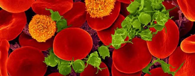 Тромбоцити и кръвосъсирване