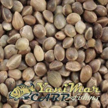 Конопено семе за риболов