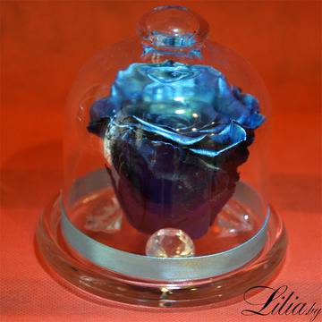 2017 Вечни рози и рози в стъкленица – Тъмно синя брокатена вечна роза в стъкленица – Доставка на Цветя-Букети-Роза в…