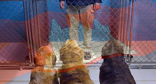 Казино собственик е арестуван за отвличане на хазартни длъжници