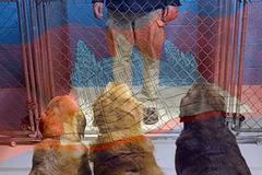 Казино собственик е арестуван за отвличане на хазартни длъжници