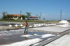 16 хиляди видяха Музея на солта в Поморие