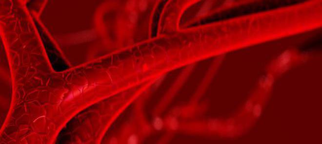 Кръвоносни съдове и кръвообращение