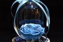 2017 Вечни рози и рози в стъкленица – Голяма вечна синя роза в стъкленица – Доставка на Цветя-Букети-Вечни рози и Рози в…